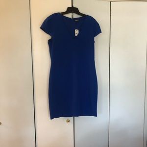 Express Tulip sleeve sheath dress